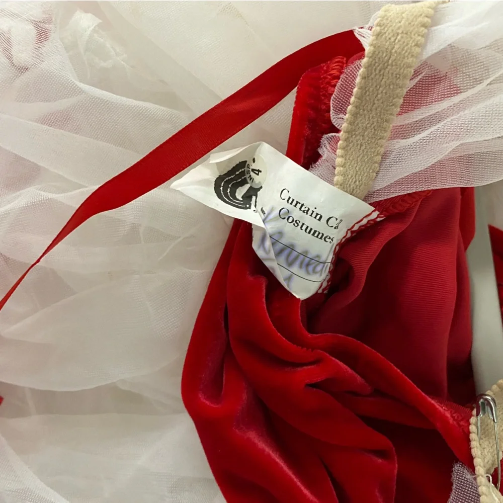 Curtain Call lot tutus